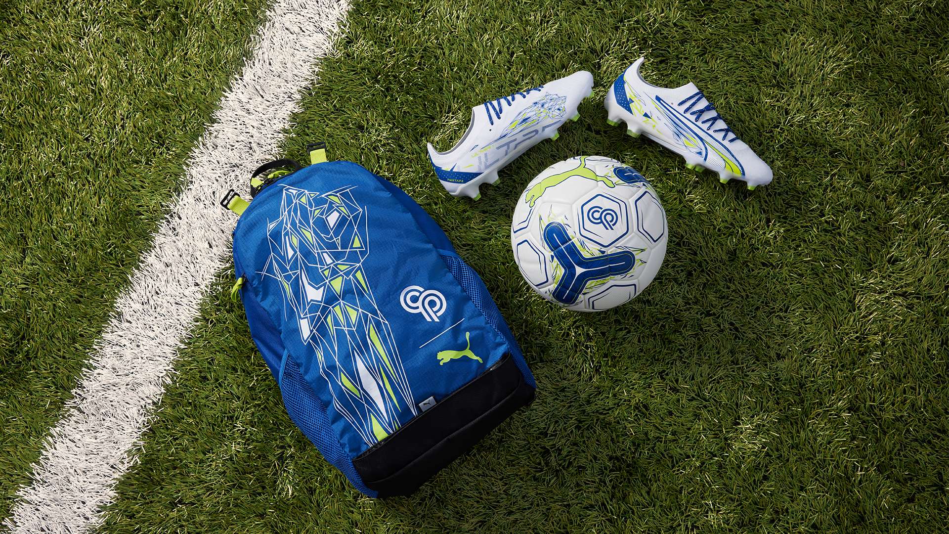 借鉴的胜利 借鉴的胜利